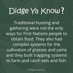 a green background with text that reads did you know about the traditional hunting and gathering were not the only ways for first nations