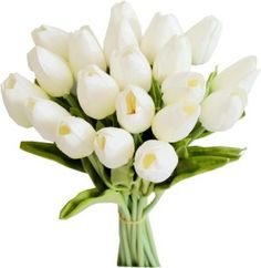 a bouquet of white tulips in a vase on a white background with clipping