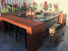 an image of a hot tub with two dogs in it