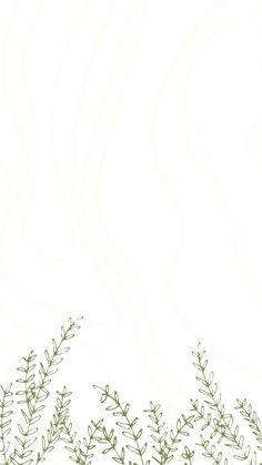 an image of some plants on a white background with space for your text or photo