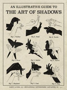 an illustrated guide to the art of shadows