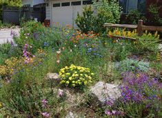 a flower garden with rocks and flowers in the foreground, next to a house