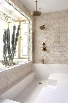 a bathroom with a cactus in the window