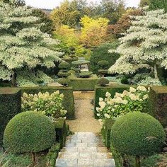 a garden with many trees and bushes in it