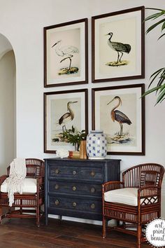 two chairs and a dresser in a room with paintings on the wall above them, along with a potted plant