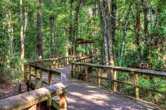 a wooden bridge in the middle of a forest