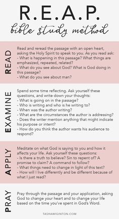 an info sheet with the words read, reap and bible study method