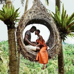 two people sitting in a bird nest on top of palm trees with the caption, i'm a bird