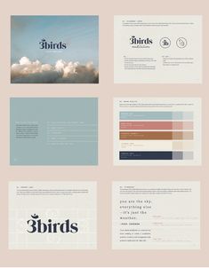 some type of brochure that is designed to look like clouds and the words birds are