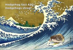 a hedgehog is riding on top of a wave