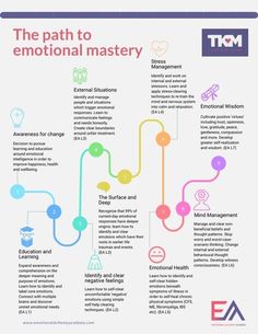 the customer journey map is shown here