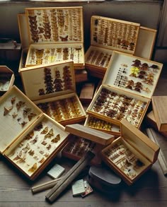 a bunch of boxes filled with lots of jewelry