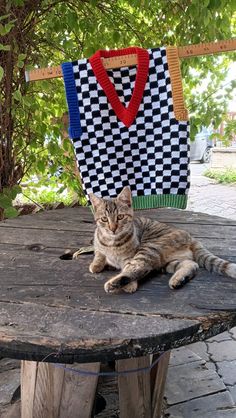 a cat laying on top of a wooden table next to a bag with a checkered design