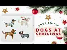 four simple dogs at christmas cards on a white background with red and gold ornaments around them