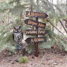 an owl sitting on top of a wooden sign