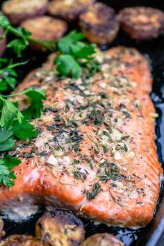 two salmon fillets covered in herbs and sauce