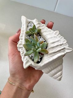 a hand holding a small planter with succulents in it's center