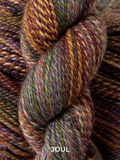 a skein of multicolored yarn with the words joul on it