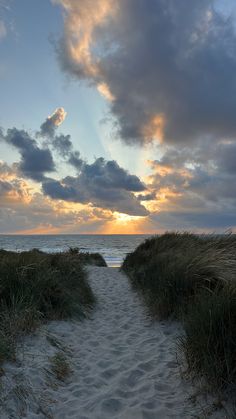 a path leading to the beach with grass on both sides and clouds in the sky