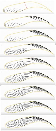 the different types of lines that are drawn in various colors and sizes, each with one line