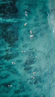 several surfers in the ocean with their surfboards under their arms, overhead view