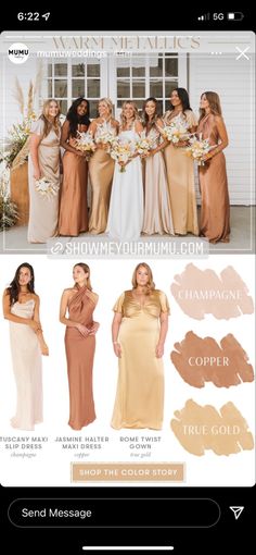 the bridesmaid's dresses are all different colors and sizes, including champagne