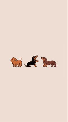 three dogs are standing in the same direction on a beige background, one is black and one is brown