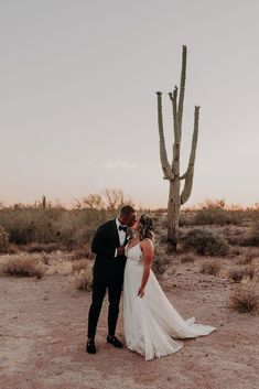 a bride and groom kissing in front of a saguado