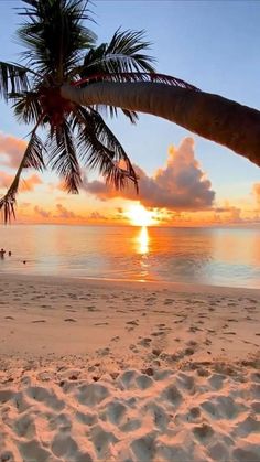 the sun is setting over the ocean with palm trees in the foreground and people walking on the beach