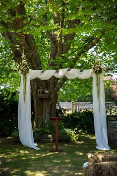 an outdoor wedding setup under a tree