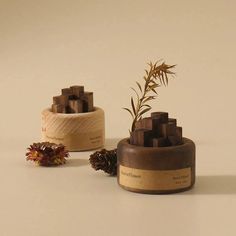 three wooden containers with plants in them on a white surface, one is made out of wood and the other has pine cones