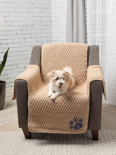 a small dog sitting on top of a chair