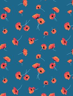 'Poppy' Wallpaper by Nathan Turner - Cadet Floral Wallpaper, Orange, Floral, Pattern, Red, Pins, Blue