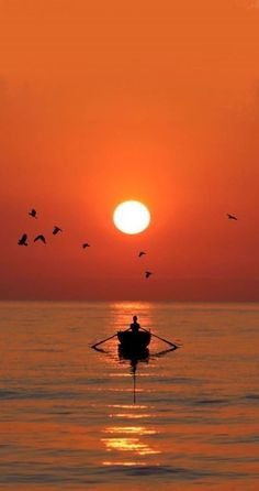 a person in a boat with birds flying over the water at sunset or sunrise time