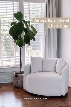 a white chair sitting in front of a window next to a potted plant on top of a wooden floor