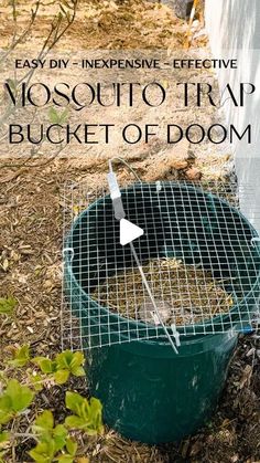 a bucket full of food sitting on the ground next to a fence with text overlay that reads, easy diy - expensive effective yosotto trap