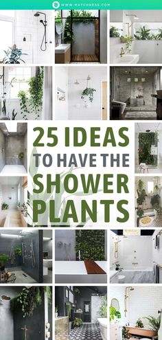 the cover of 25 ideas to have the shower plants in your home, including potted plants