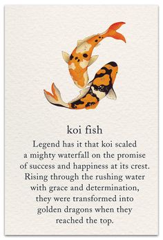 a poem from koi fish