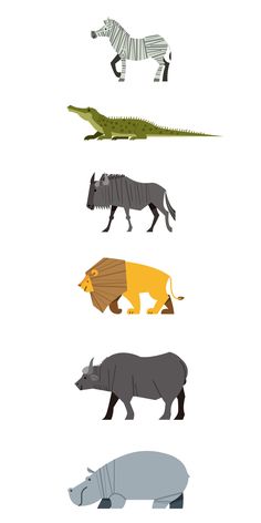 different animals that are standing in the same line on a white background, including zebras and rhinoceros