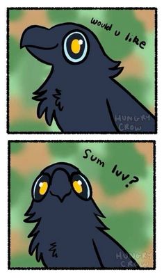 two black birds with yellow eyes looking at each other