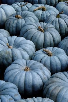 many blue pumpkins stacked on top of each other