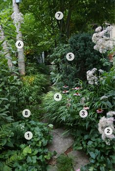 a garden with lots of plants and numbers on the path to each planter's name