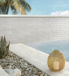 a vase sitting on the edge of a pool next to some rocks and a palm tree