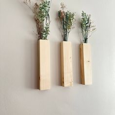 three wooden vases with plants in them hanging on the wall