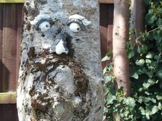 a face carved into the bark of a tree