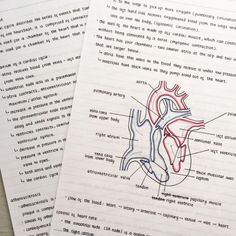 two books with medical diagrams on them