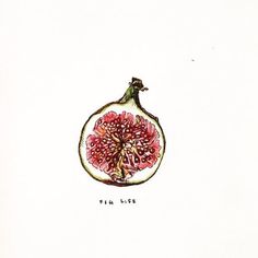 a drawing of a pomegranate with the words fifi life written on it