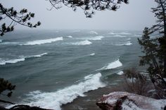 an ocean view with waves crashing on the shore and pine trees in the foreground