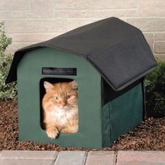 an orange cat sitting in a green dog house