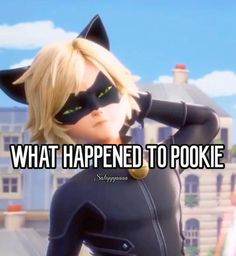 an animated catwoman with caption that reads, what happened to pookie?